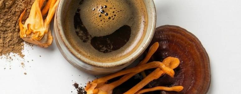 Quality & Sourcing: What to Look for in Mushroom Ingredients