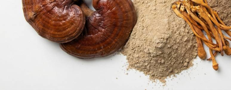 Emerging Mushroom Ingredients & Functional Pairings