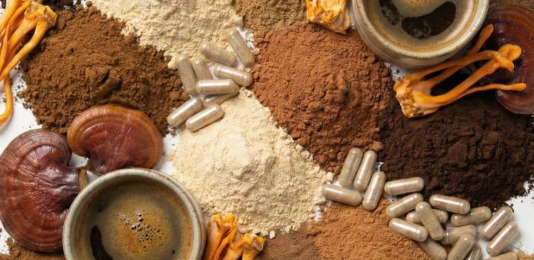 Why Functional Mushrooms Are Exploding in Demand