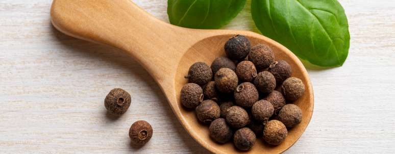 Culinary Classic Allspice