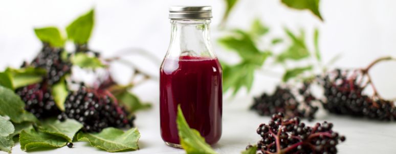 Elderberry Immunity Syrup