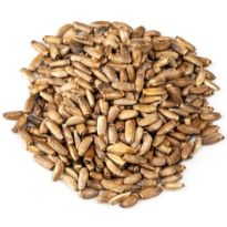 Milk Thistle powder