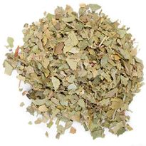 Ginkgo Biloba powder