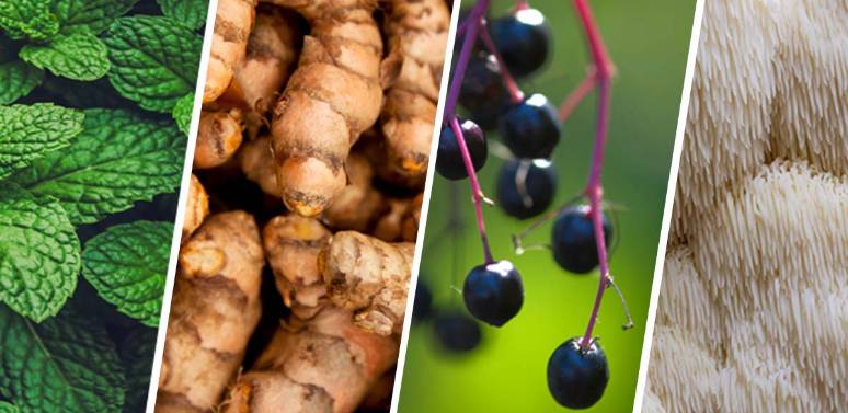 Herbs for Winter Wellness