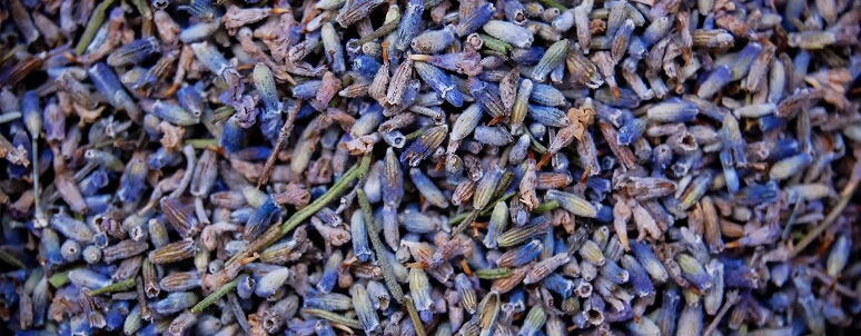 Dried lavender flowers for food and beverage applications