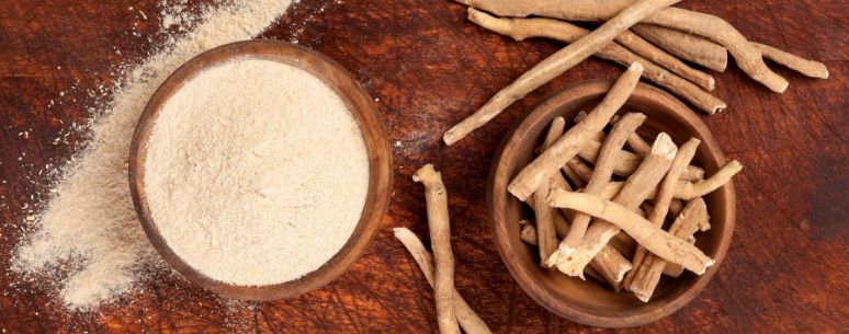 Adaptogens Work in the Body - HPA Axis and SAS