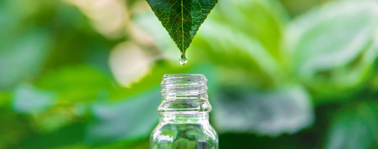 Key Takeaways for Readers and Formulators