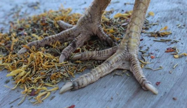 Buff Clucks herbs being mixed