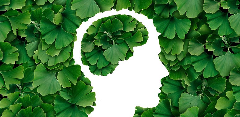 Consumer Lifestyle Trend: Aging Population Driving Botanical Supplement Trends