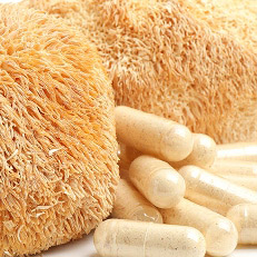 Lion's mane mushroom and capsules