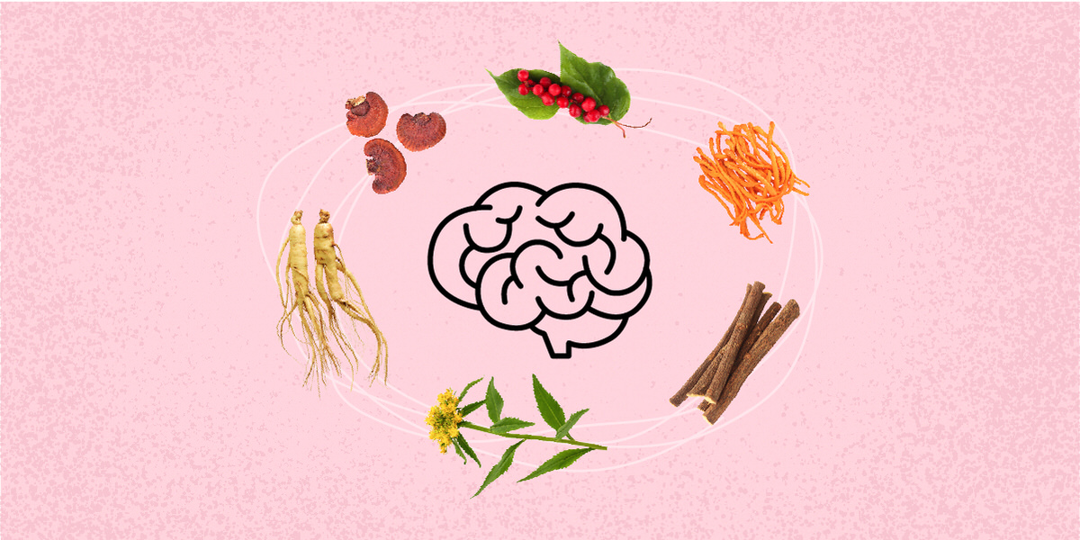 Starting at top middle going clockwise: Schisandra berries, cordyceps, licorice root, rhodiola, ginseng, reishi