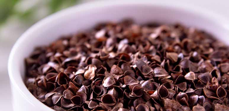 What is buckwheat? The magical hulls that heal - Eco Health Lab