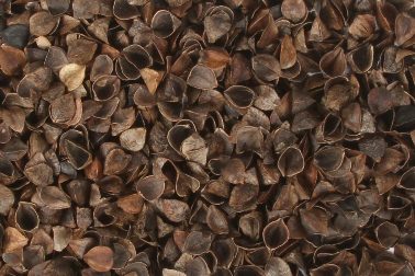 Buckwheat Hulls: 4 Easy Ways to Use in Your Business