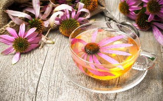 Echinacea tea