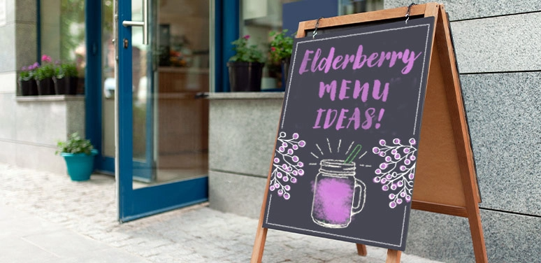 7 Delicious Elderberry Recipes for Your Cafe’s Menu
