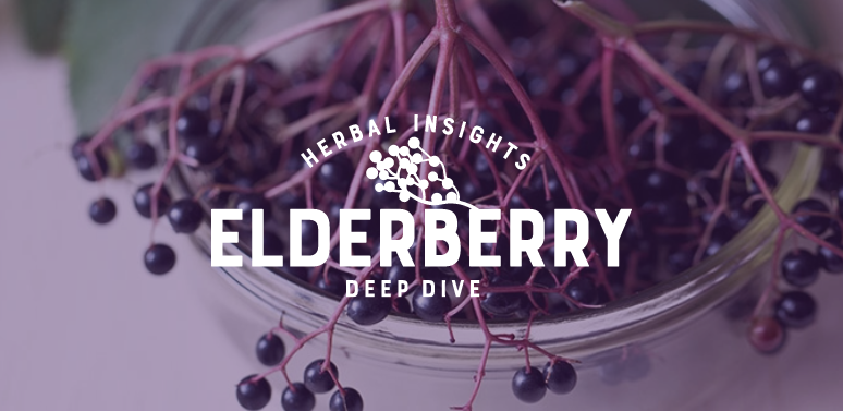 Herbal Insights Deep Dive: Elderberry Uses, and Herbal Pairings
