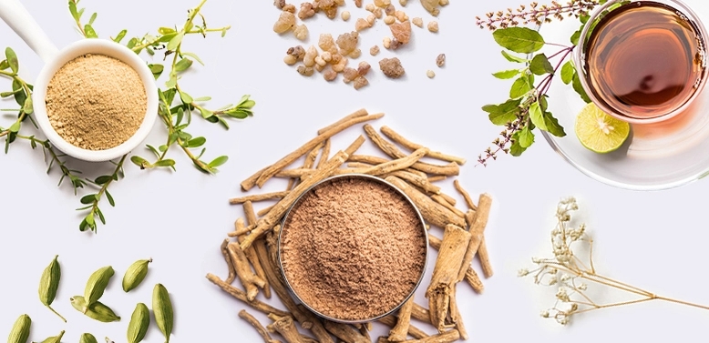 Ayurvedic Herbs for Stress Relief and Mental Well-being