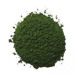 Chlorella