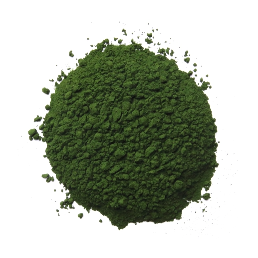 Chlorella