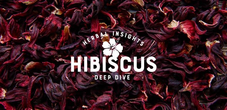 Herbal Insights Deep Dive: How Tos and Benefits of Hibiscus
