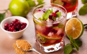 Cranberry Mojito