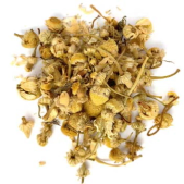 Chamomile