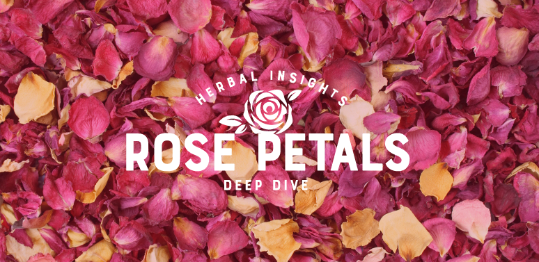 Herbal Insights Deep Dive: The Basics and Benefits of Rose Petals