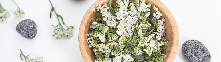 Yarrow Recipes: Soothing Yarrow Facial Toner