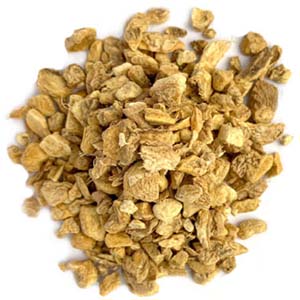Ginger