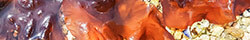 Dulse