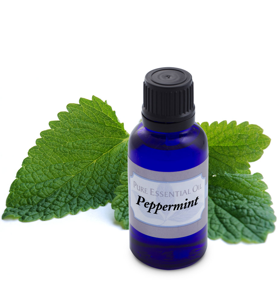 Bulk Herbs, Bulk Spices and Bulk Herbal Teas