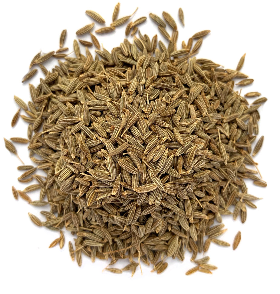 buy bulk cumin seed