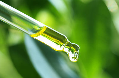 Bulk Essential Oils