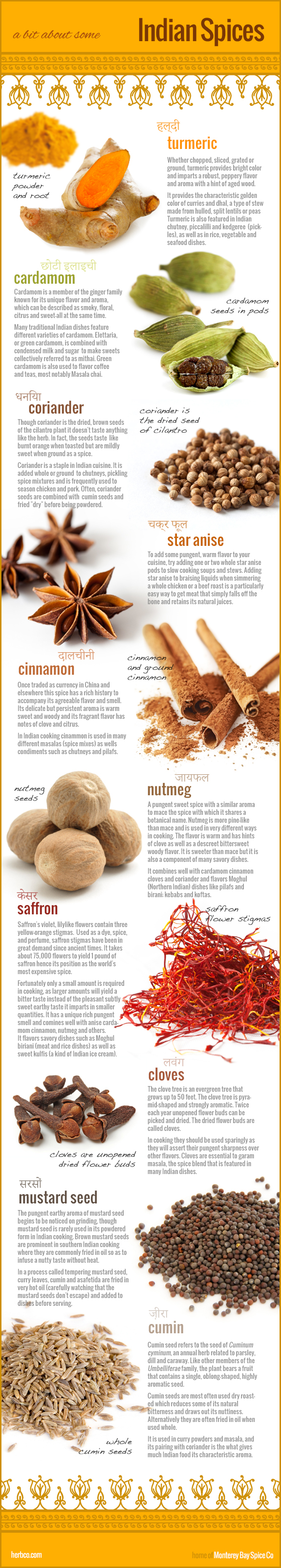 Indian spices infographic