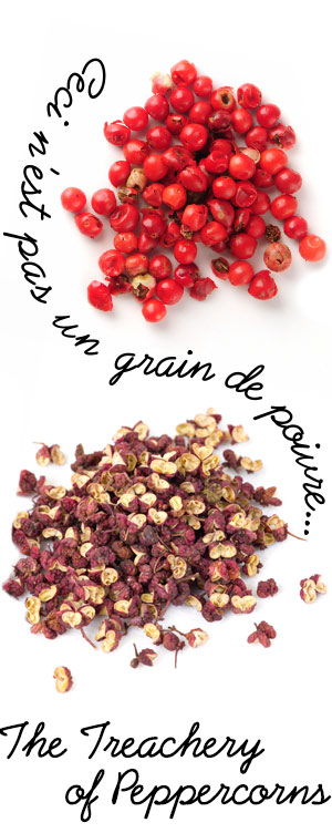 [ A Passion for Pepper: Ceci n'est pas un grain de poivre... ] ~ from Monterey Bay Herb Company