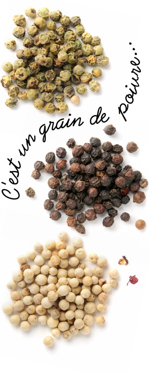 [ A Passion for Pepper: C'est un grain de poivre... ] ~ from Monterey Bay Herb Company