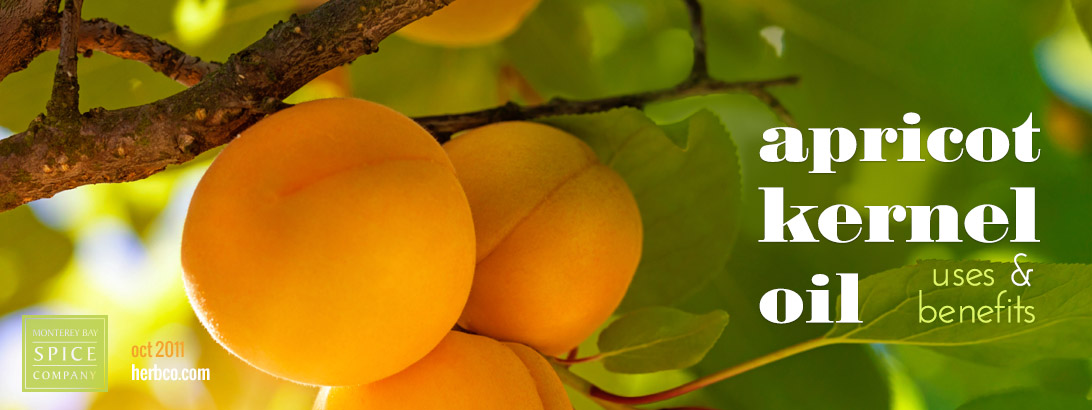 Apricot Kernel Oil Benefits for Skin: How to Use, Where to Buy +