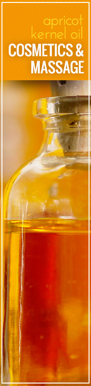 [ Apricot Kernel Oil: Cosmetic & Massage ] ~ from Monterey Bay Spice