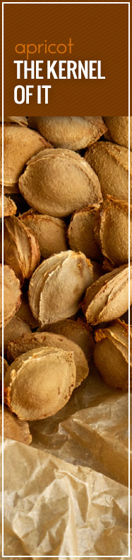 [ Apricot Kernel Oil: The Kernel Of It ] ~ from Monterey Bay Spice