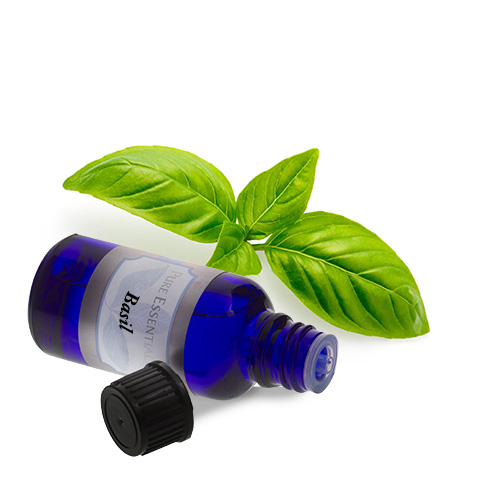 Bulk Herbs, Bulk Spices and Bulk Herbal Teas