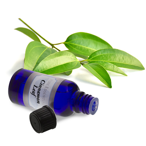 bulk cinnamon leaf essential oil