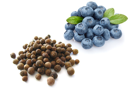 [ Image : Allspice ] ~ from Monterey Bay Spice