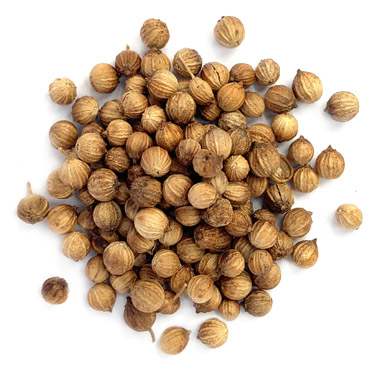 buy bulk coriander seed