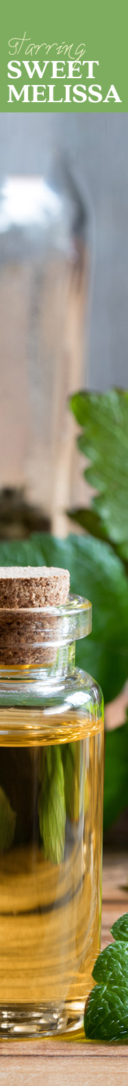 [ The Story of CARMELITE WATER - Starring Sweet Melissa ] ~ from HerbCo