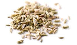 [ fennel seed ] ~ from Monterey Bay Herb Company