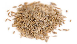 [ cumin ] ~ from Monterey Bay Herb Company