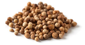 [ coriander ] ~ from Monterey Bay Spice