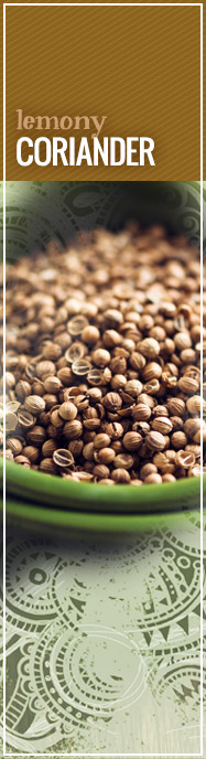 [ 5 Seasonings for Cinco de Mayo: Coriander ] ~ from Monterey Bay Spice