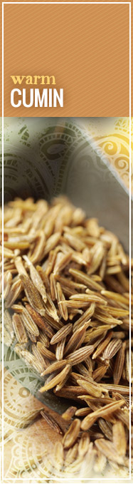 [ 5 Seasonings for Cinco de Mayo: Cumin ] ~ from Monterey Bay Spice