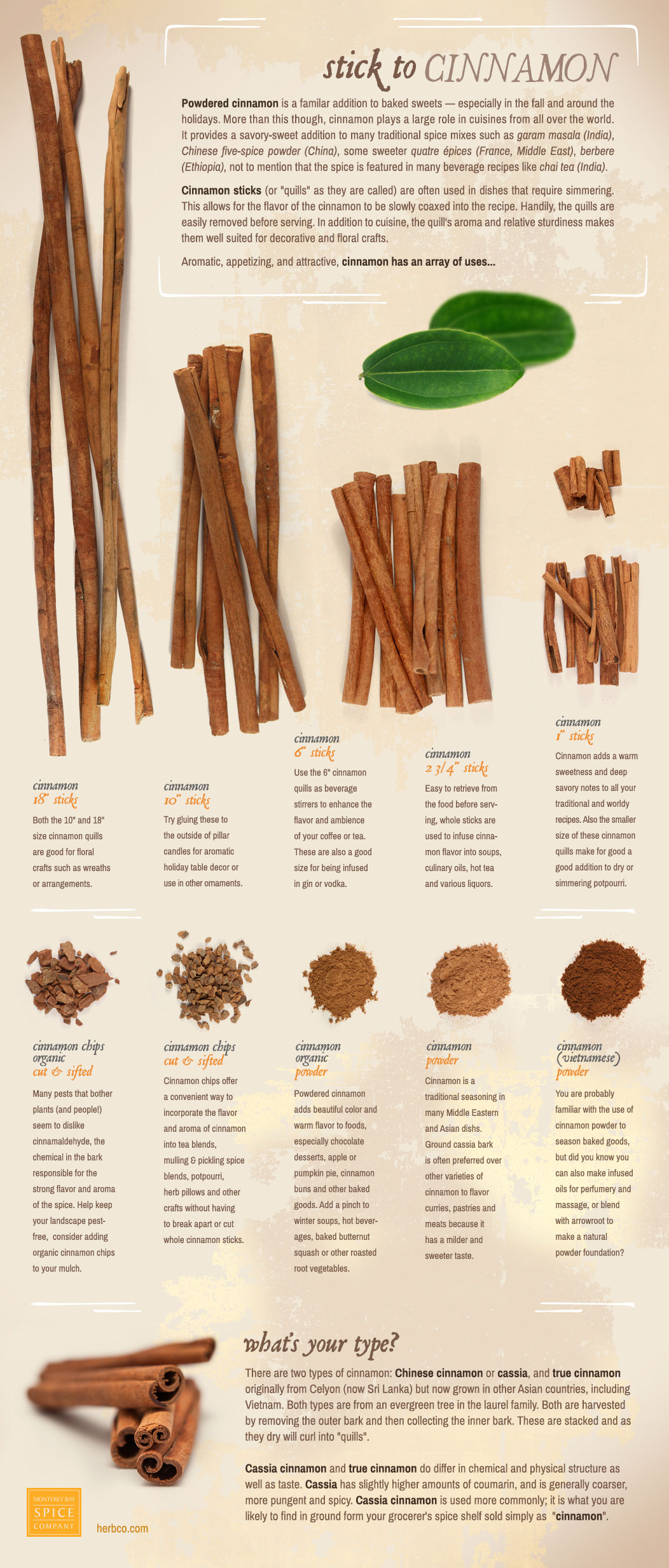 cinnamon infographic